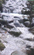 Ruisseau Chantepoulet