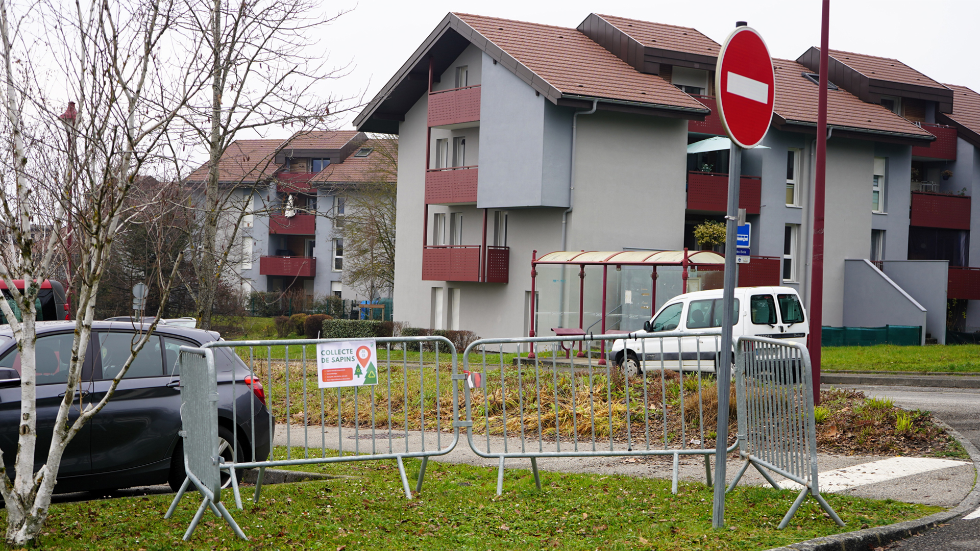 Photo d'une aire de collecte de sapins mise en place par la Commune