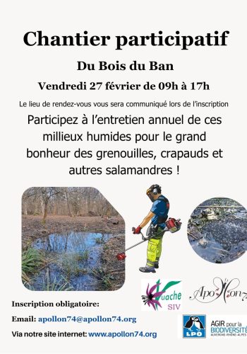 Chantier Bois du Ban